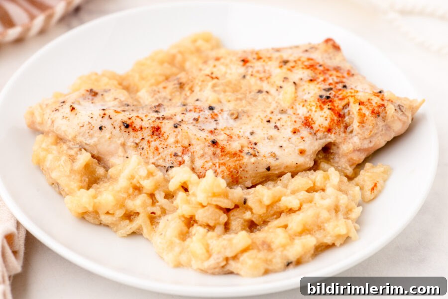 A serving of chicken rice pilaf on a plate.