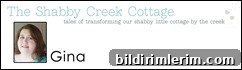 Gina's Banner