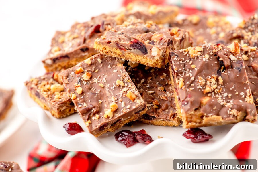 A platter of graham cracker toffee bars with almonds and craisens