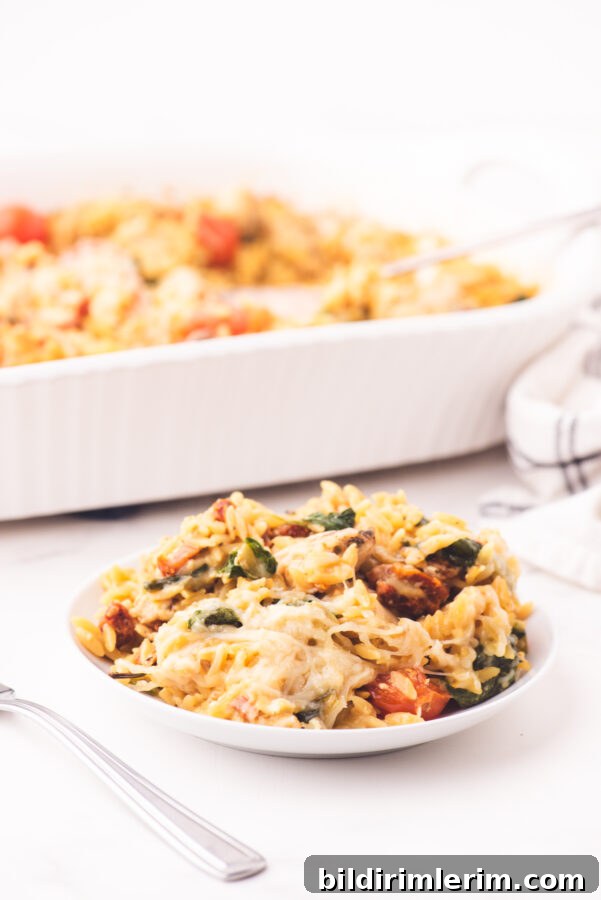 A plate with a serving of chicken orzo casserole on it.