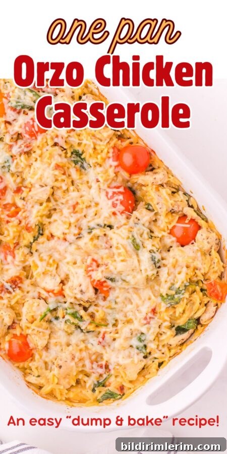 A pan of orzo chicken casserole.