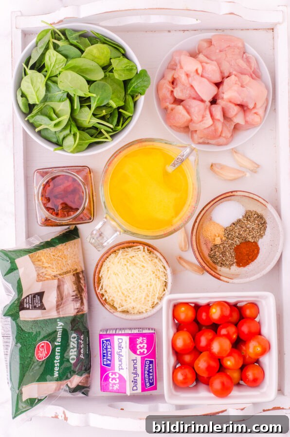 Ingredients used in orzo chicken casserole
