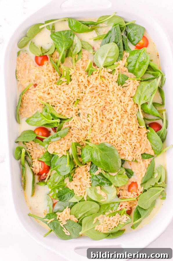 Fresh spinach and dried orzo layered over the chicken mixture
