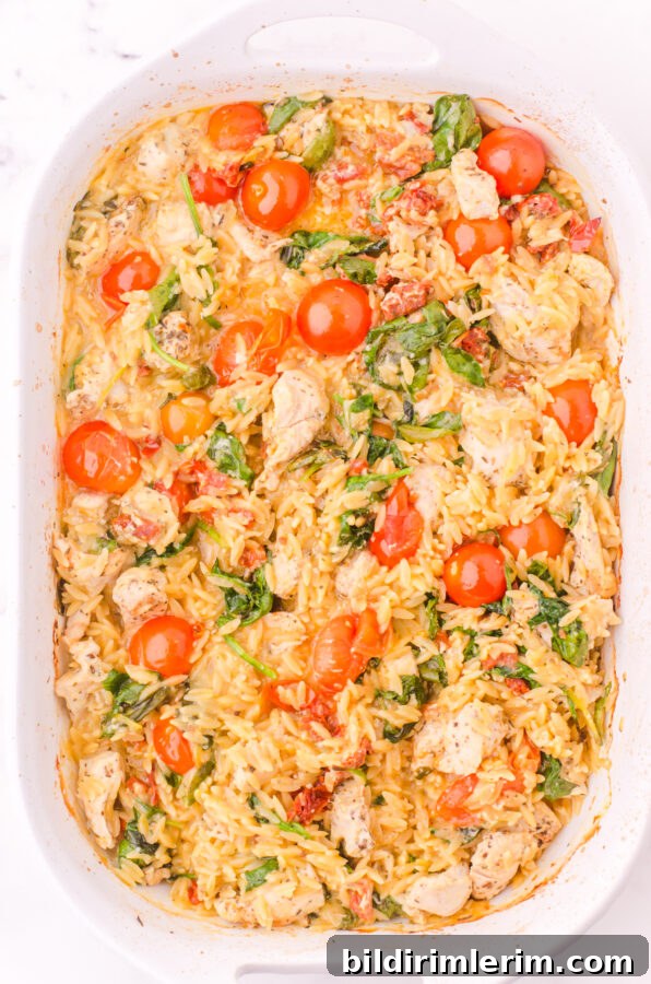 Baked chicken orzo casserole before parmesan cheese has been added.