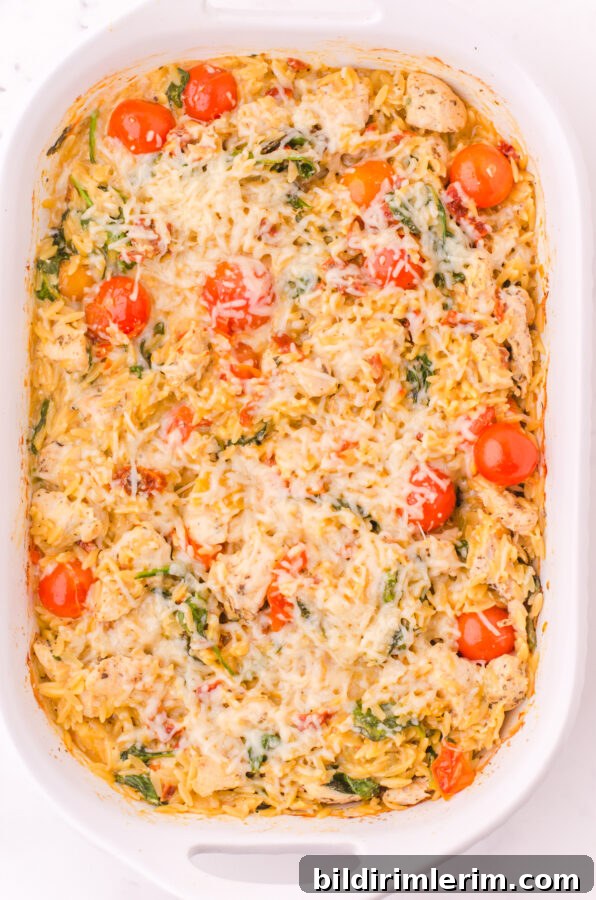 Baked orzo chicken casserole with parmesan cheese on the top.