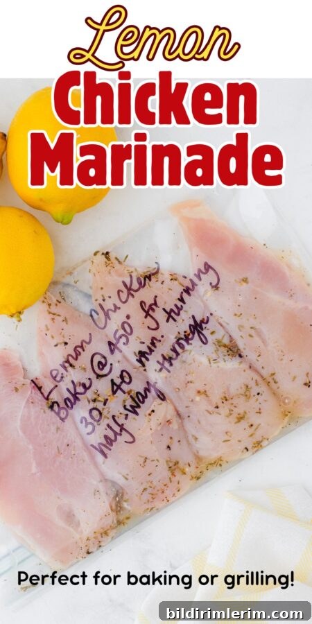 Chicken breasts in a ziptop freezer bag with lemon chicken marinade on in.