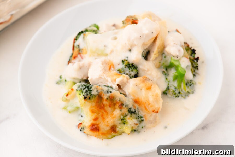 Broccoli Chicken Alfredo casserole in a baking dish