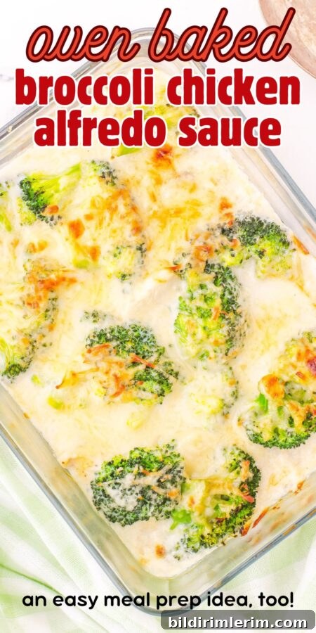 Broccoli chicken alfredo ready to serve
