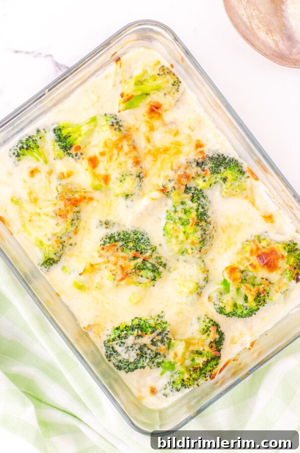 Baked broccoli chicken alfredo casserole