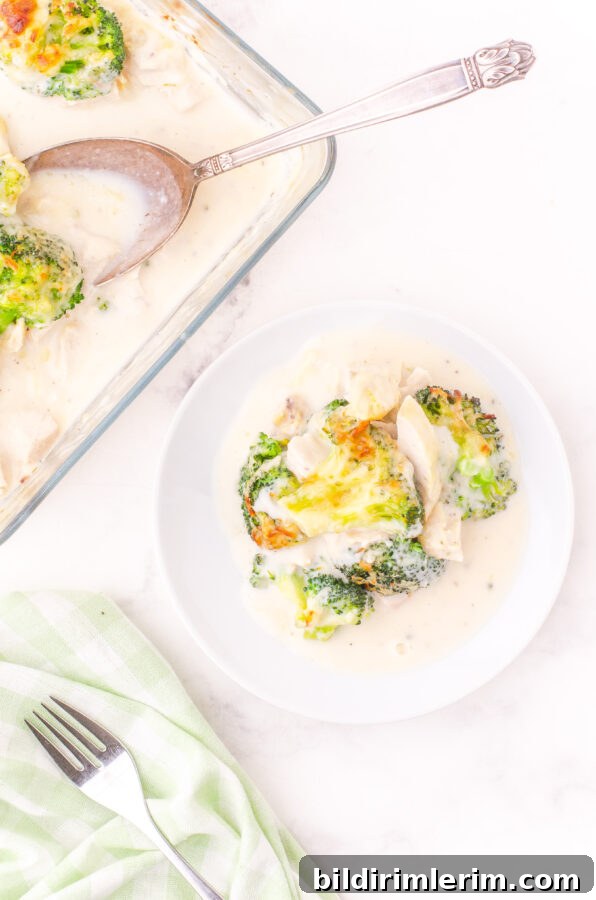 A plated serving of broccoli chicken alfredo
