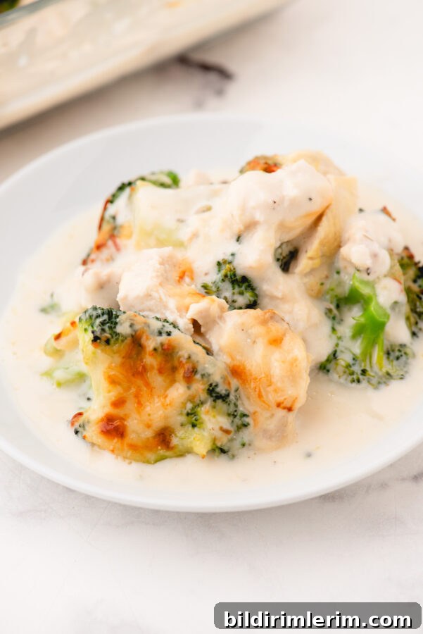 A serving of broccoli chicken alfredo on a plate