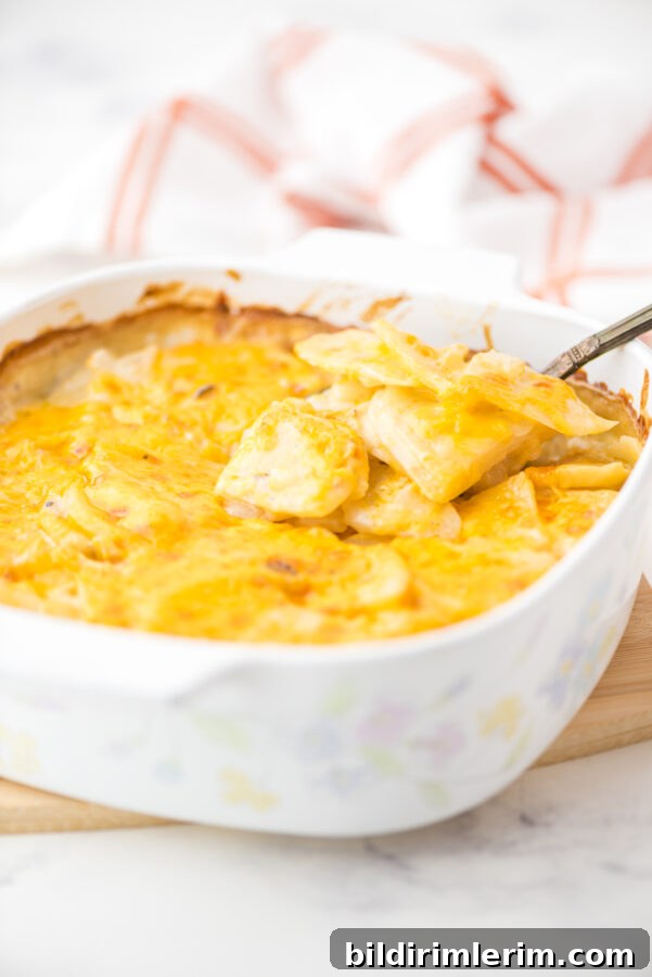 A casserole dish of cheesy scalloped potatoes with mushroom soup