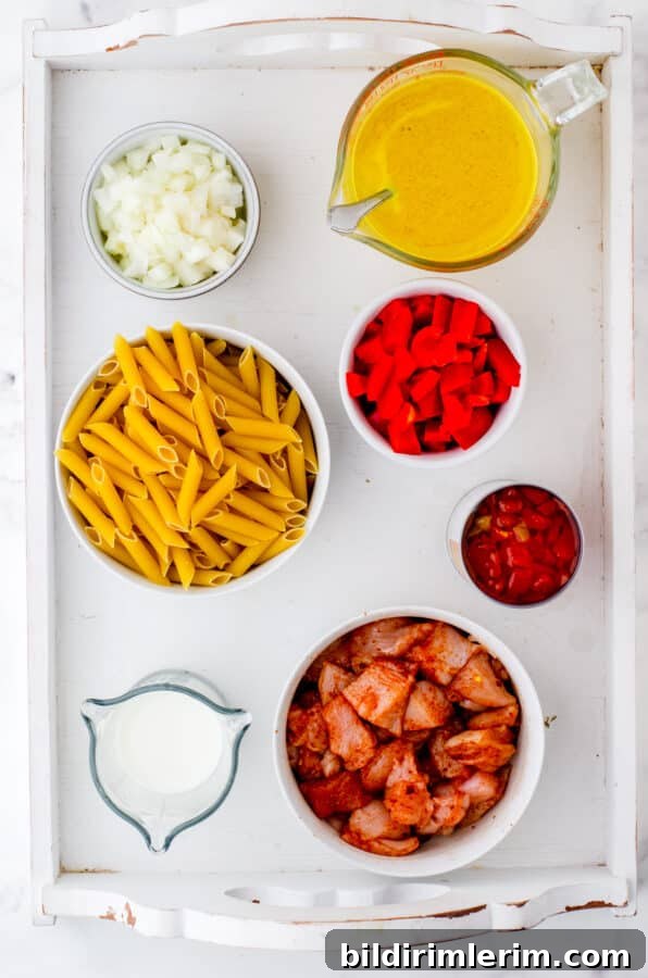 Ingredients for one pot chicken pasta