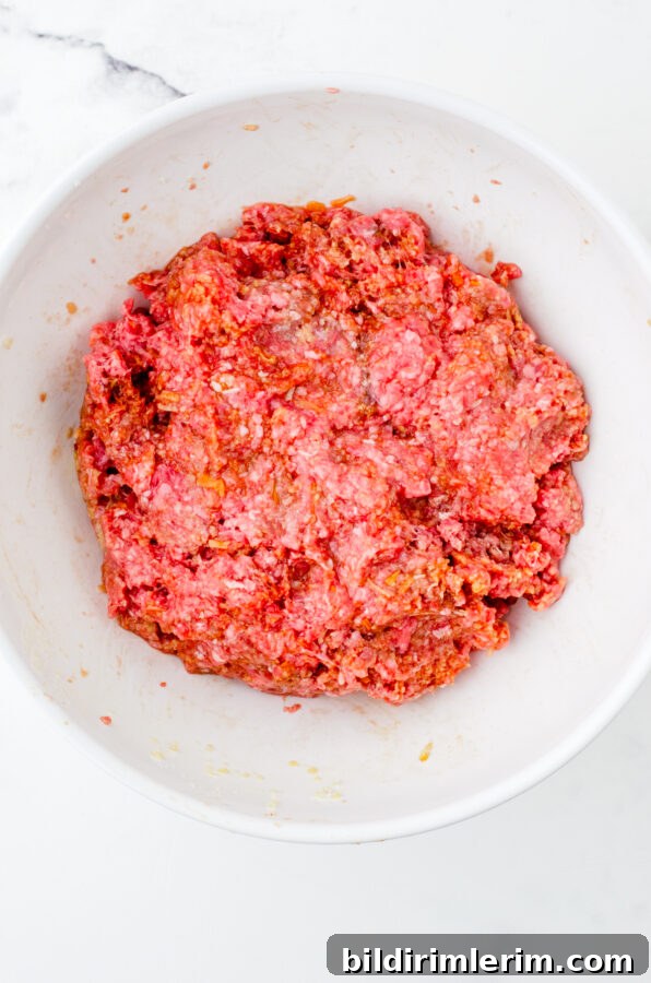 Classic Lipton Onion Soup Meatloaf Recipe for Comforting Dinners 6 Lipton Onion Meatloaf ingredients all mixed together in a large mixing bowl.