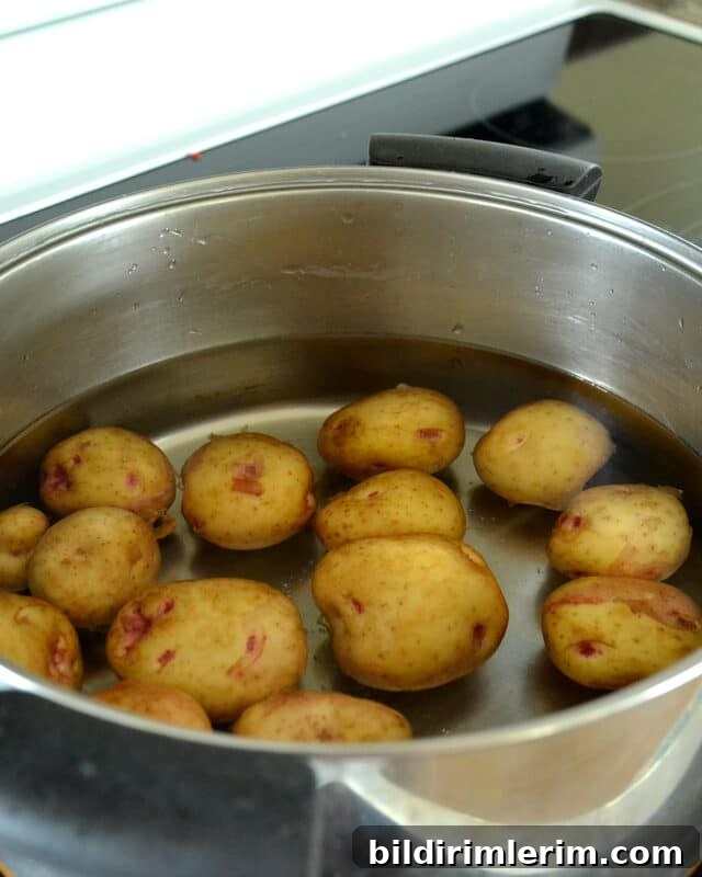 Crispy Smashed Potatoes Recipe with Garlic and Herbs 3 Baby potatoes in a pot covered with water