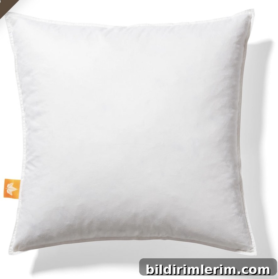 Feather Throw Pillow Insert 20 x 20
