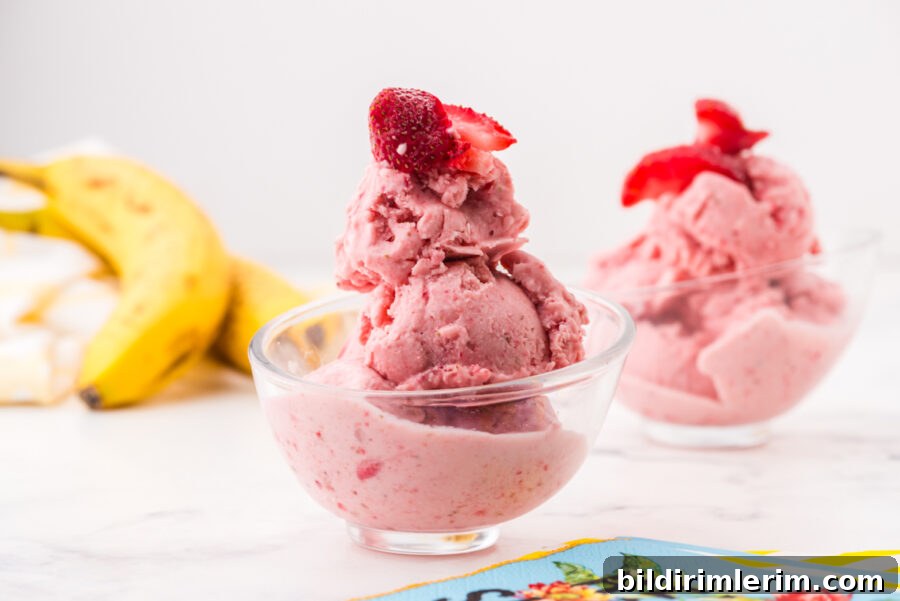 Homemade Strawberry Banana Frozen Yogurt in a Food Processor 2 Bowl of strawberry banana frozen yogurt
