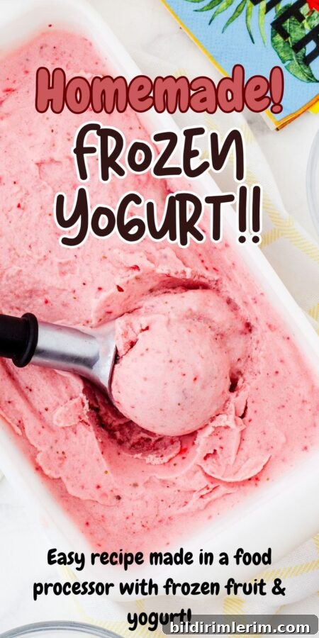 Homemade Strawberry Banana Frozen Yogurt in a Food Processor 8 Small bowl of frozen yogurt
