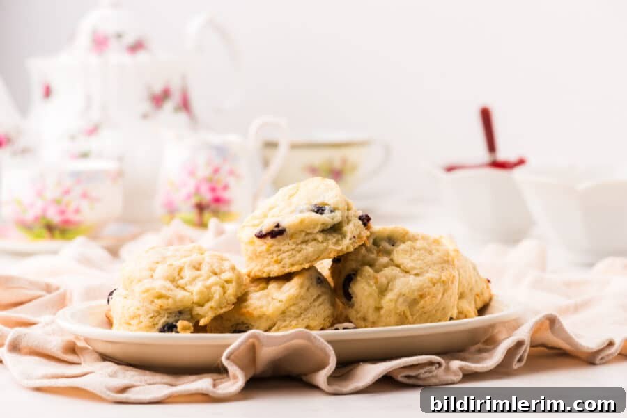 A platter of cream scones with cranberries and orange peel with a teapot behind