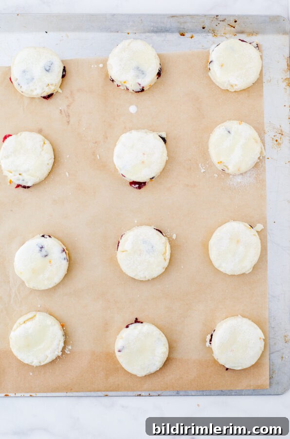 cream scones on baking pan ready to go into oven