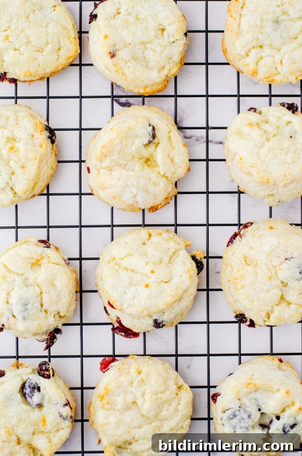 Baked cream scones on a baking tray