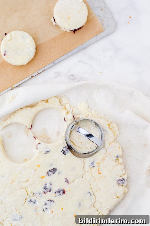 Cream scones being cut with a round cutter