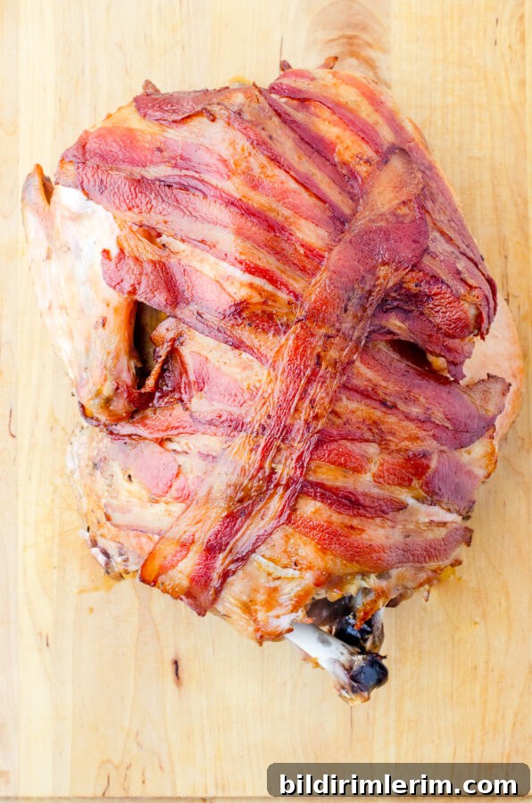 Slow roasted turkey with bacon on a roasting pan