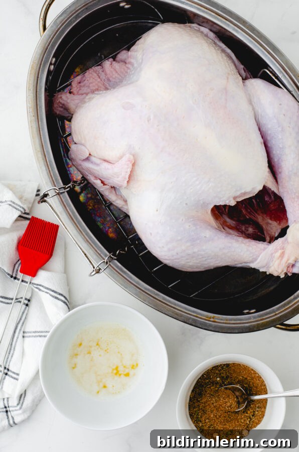 Turkey with spice rub and herbs