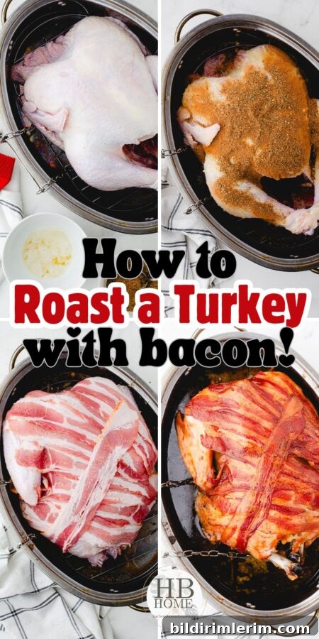 final roast turkey presentation