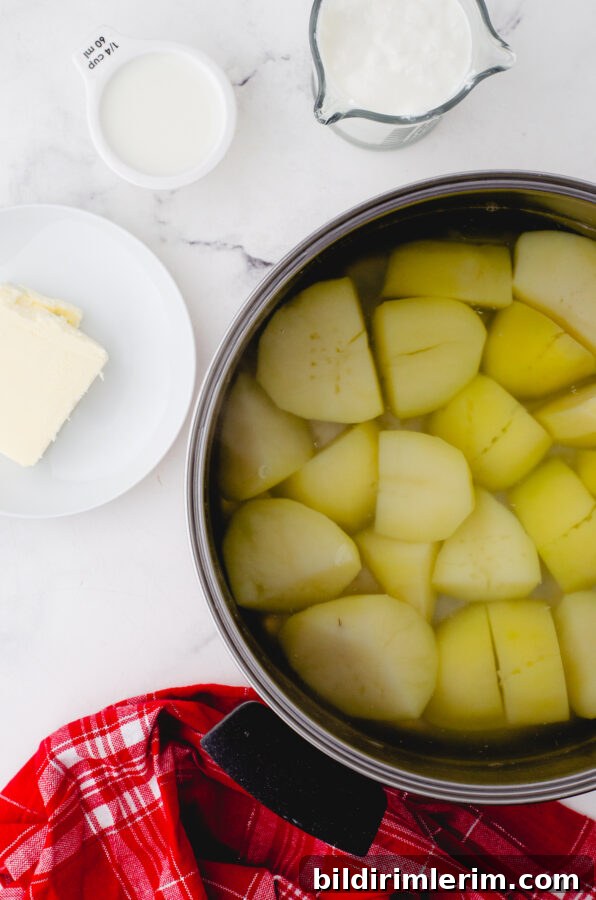 Creamy Whipped Mashed Potatoes with Cottage Cheese 6 Cooked, boiled potatoes with add-ins beside for mashed potatoes
