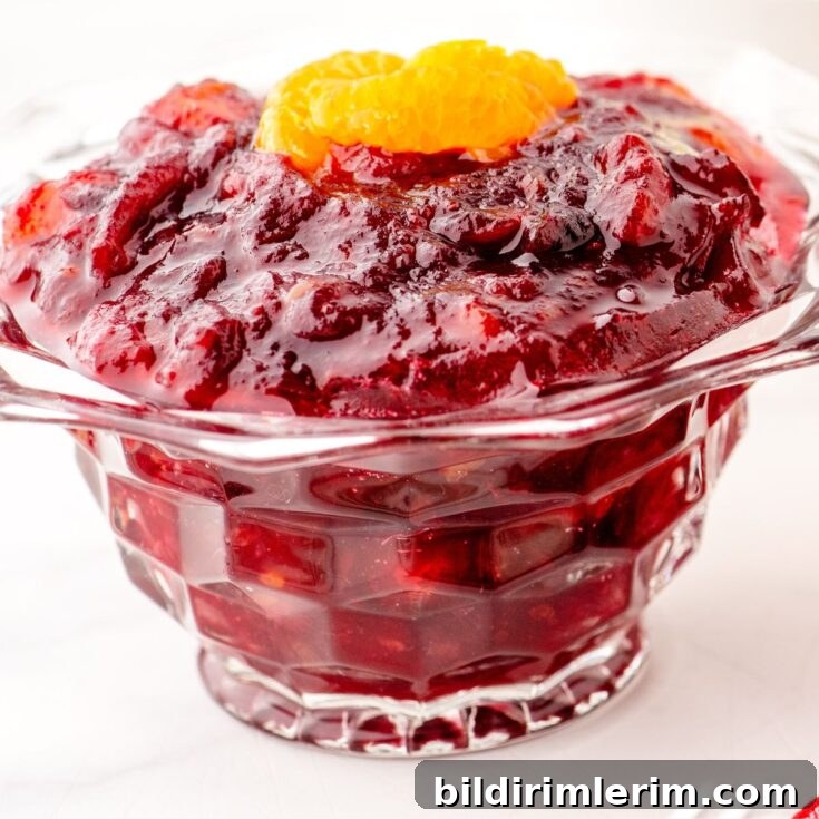 Cranberry sauce close-up