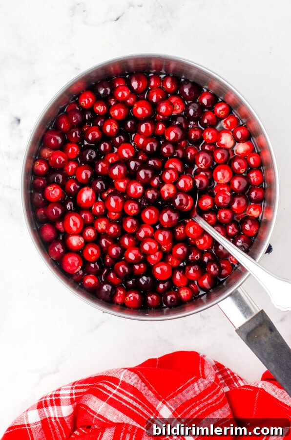 Homemade Cranberry Sauce with Mandarin Oranges 4 Cranberries in a saucepan with sugar water