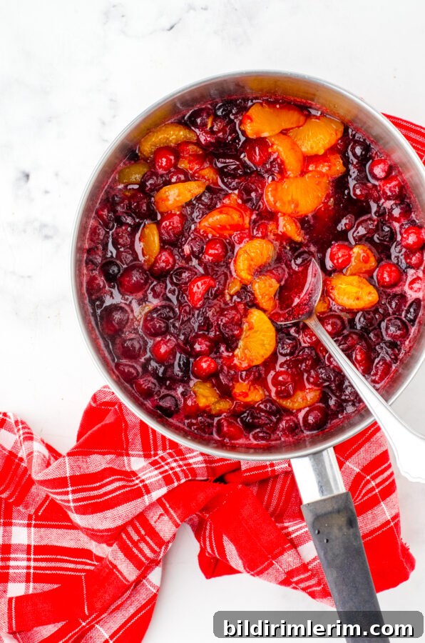 Homemade Cranberry Sauce with Mandarin Oranges 6 Fully cooked cranberry sauce with mandarin oranges.