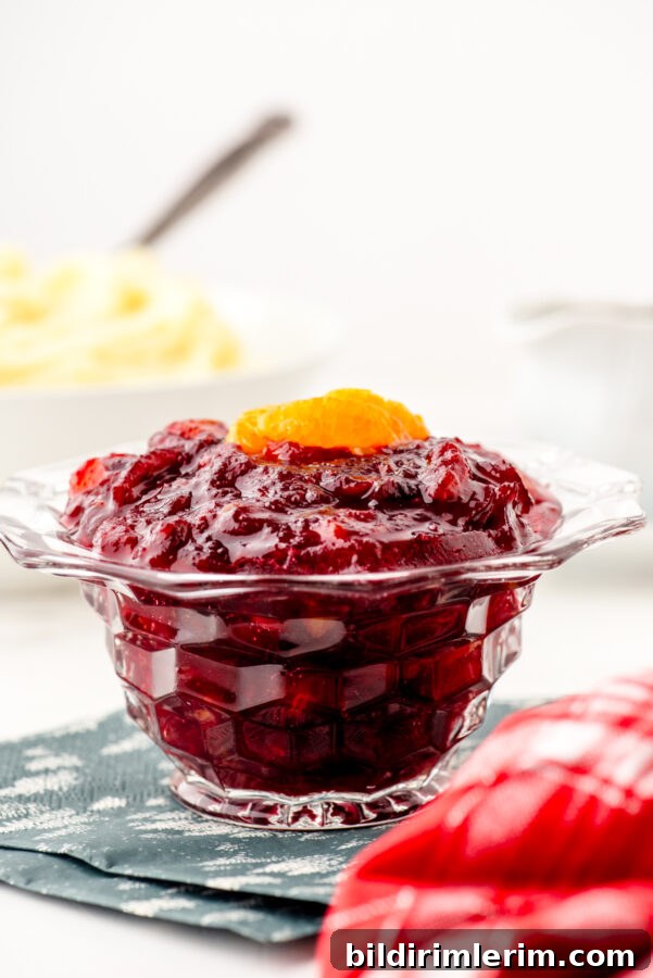 Homemade Cranberry Sauce with Mandarin Oranges 7 Serving suggestion for cranberry sauce with mandarin oranges