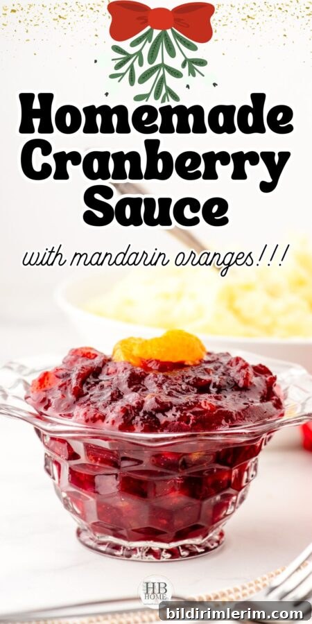 Homemade Cranberry Sauce with Mandarin Oranges 8 A small serving of cranberry sauce