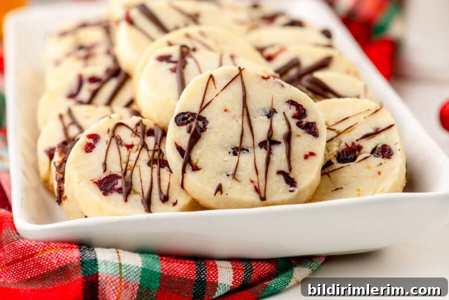 Easy whipped shortbread cookies on a platter with chocolate drizzle.