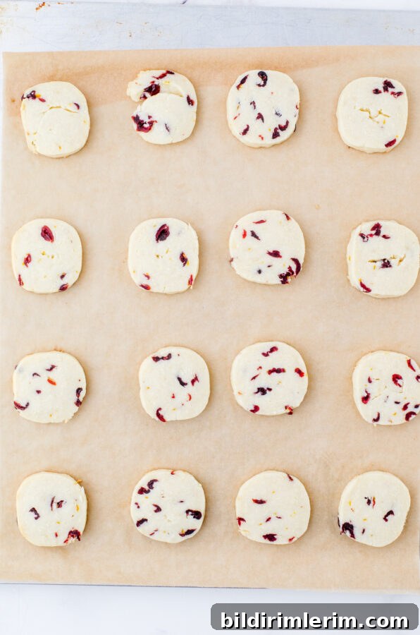 whipped shortbread cookies after baking