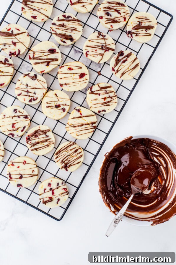 whipped shortbread cookies with chocolate drizzle over the top
