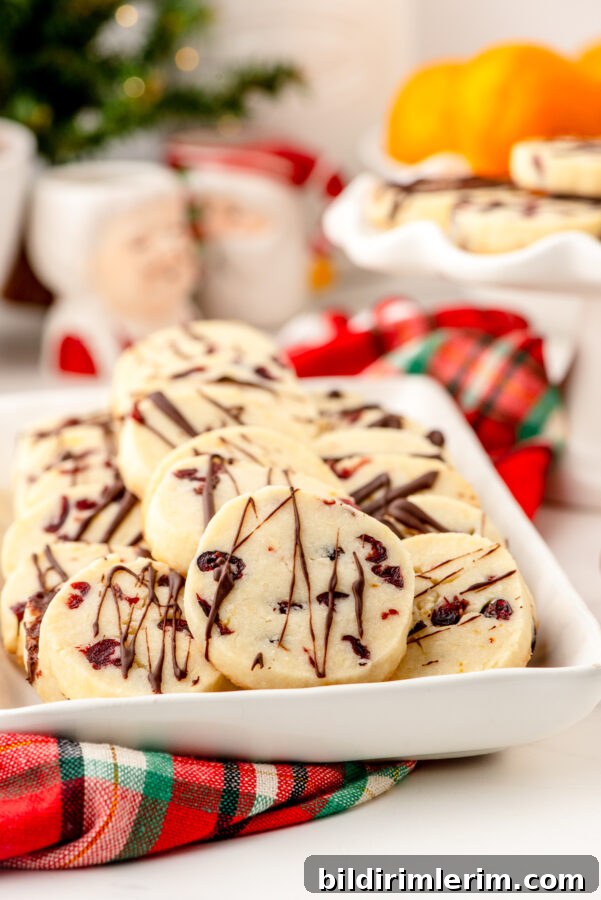 Slice and bake whipped shortbread on a platter with cranberries and a chocolate drizzle.