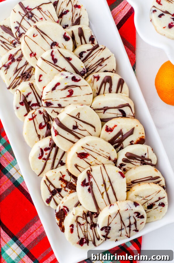 A platter of slice and bake whipped shortbread cookies with cranberries and a chocolate drizzle.