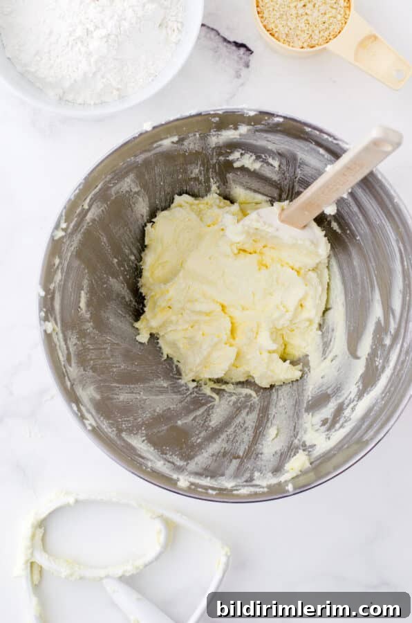 Whipped butter & sugar for whipped shortbread cookies.