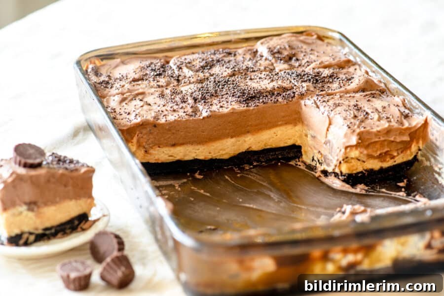 Slice of peanut butter and chocolate dessert