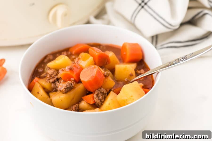 Slow Cooker Hamburger Stew Recipe 2 A bowl of hamburger stew served up and ready to eat.