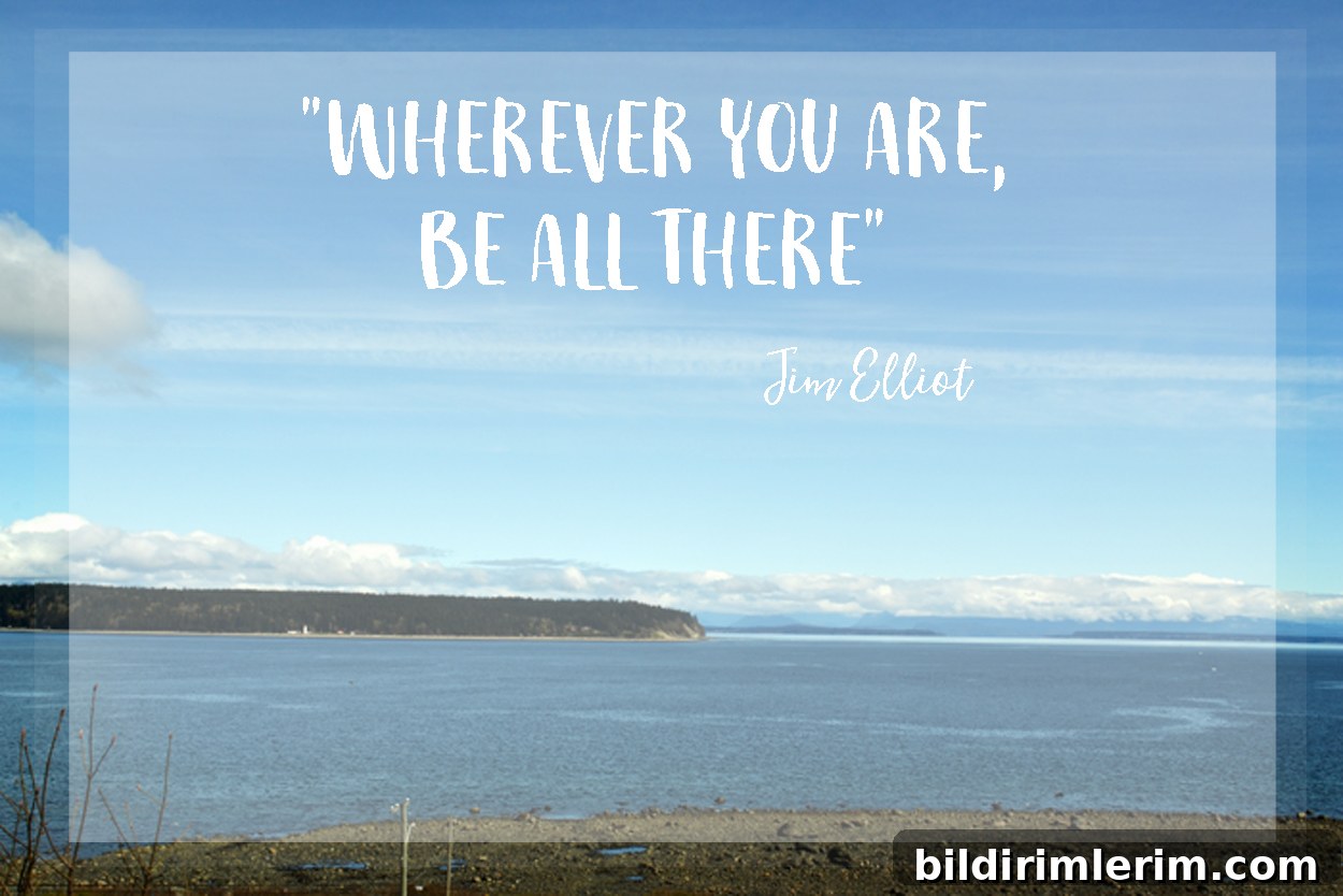 Embracing the simplicity of life in the 'in between' phase of transition to a new home.