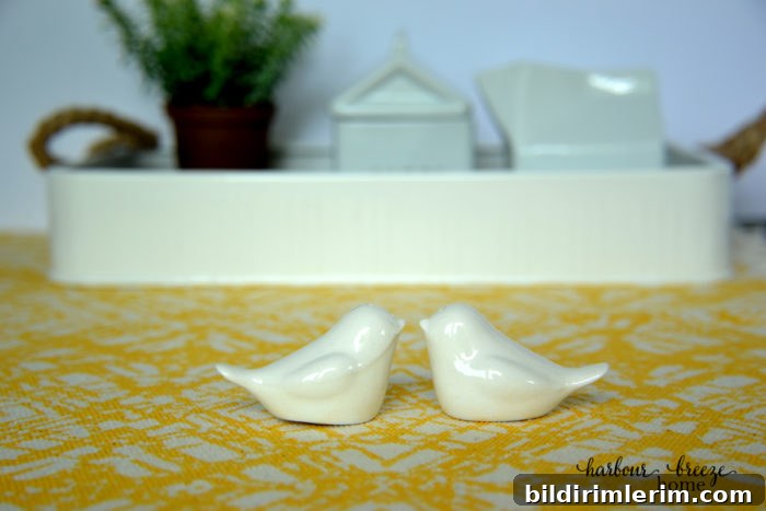 Advice for the bride ~ A bridal shower devotional - a picture of 2 ceramic birds