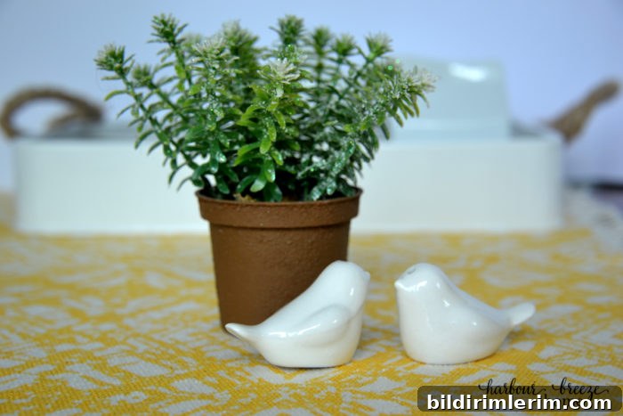 Advice for the new bride ~ A bridal shower devotional