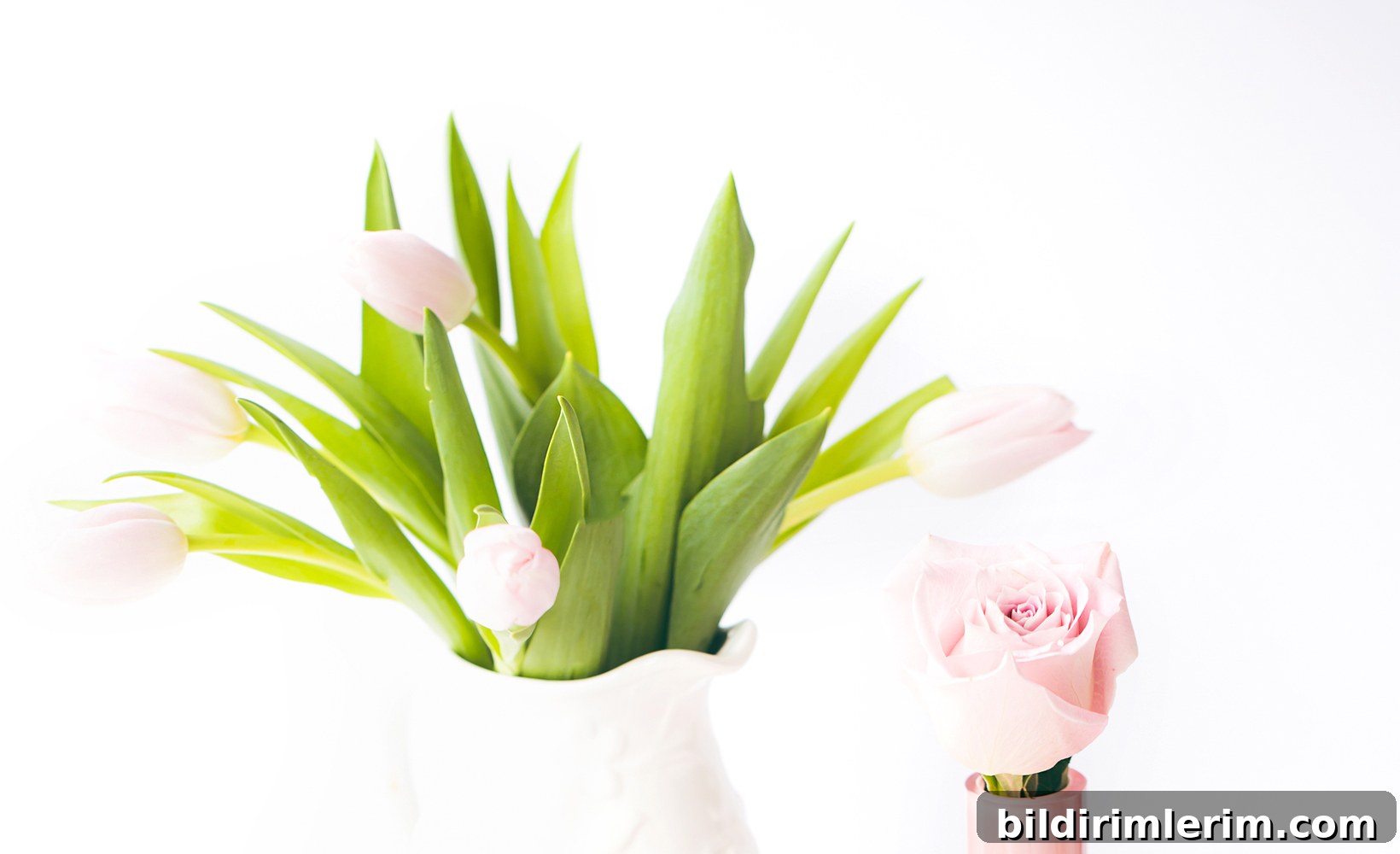 HOW TO START A HOME DECOR BLOG