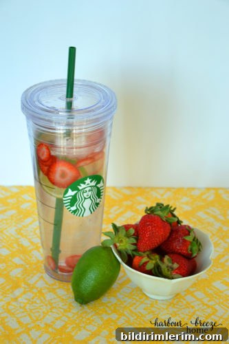 infused water2 ps
