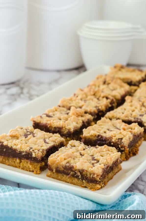 Peanut Butter Fudge Bars (can't leave alone bars) arranged on a rectangular serving plate.
