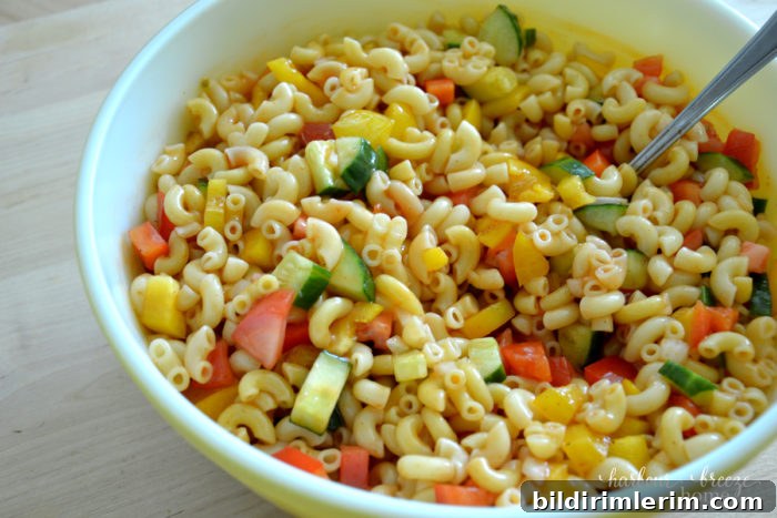 Macaroni Salad with Tangy Ketchup Dressing 2 A big bowl of cold pasta salad with ketchup dressing.